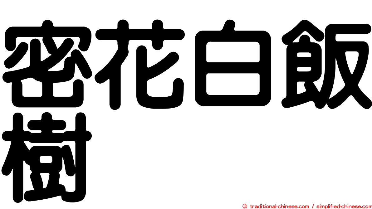 密花白飯樹