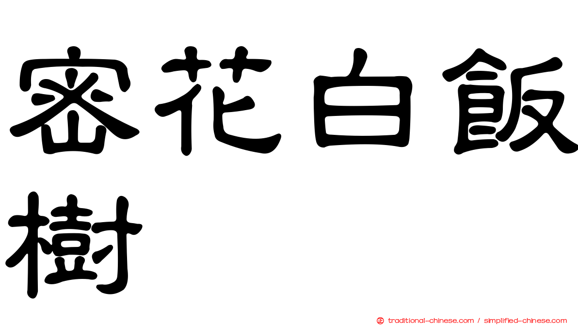 密花白飯樹