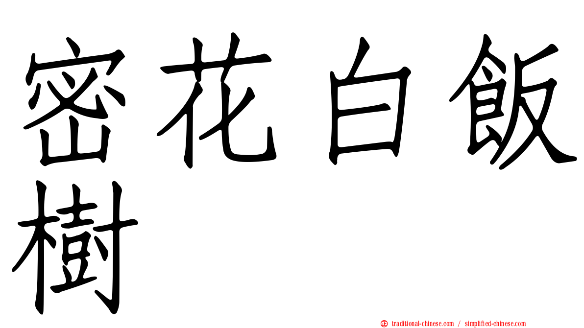 密花白飯樹