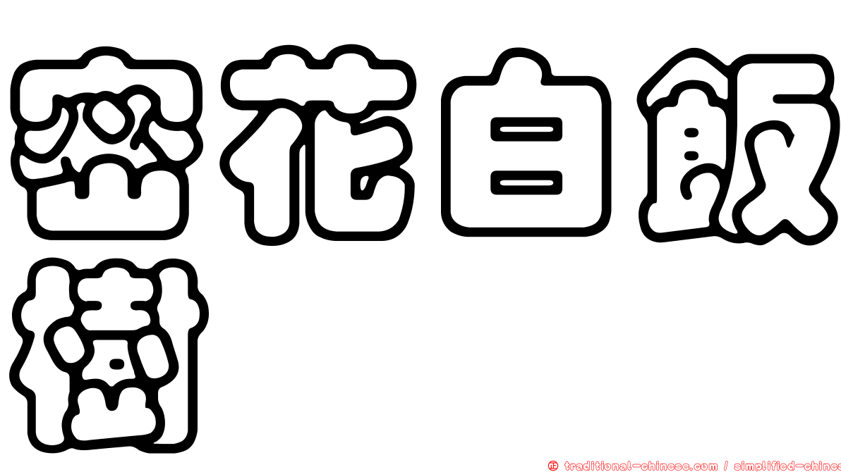 密花白飯樹