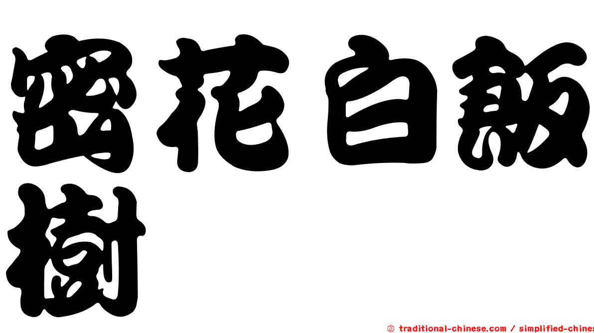 密花白飯樹