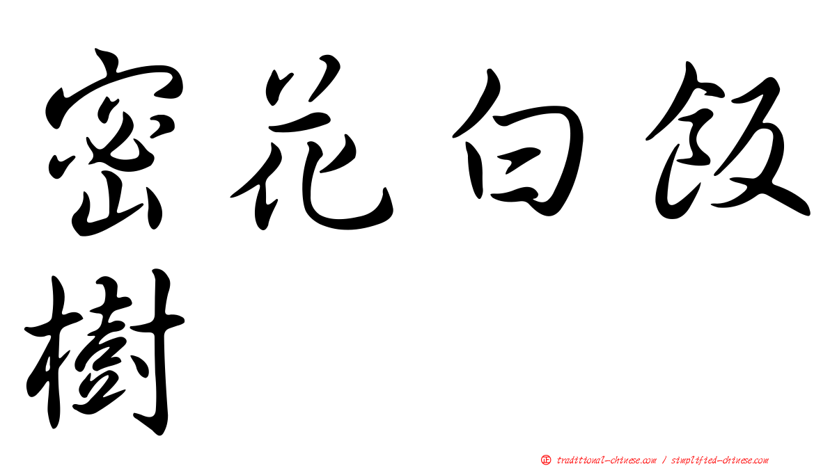 密花白飯樹