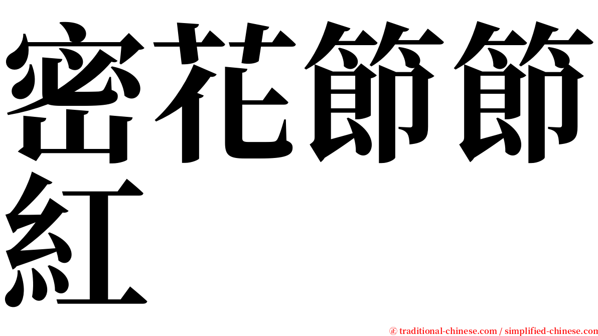 密花節節紅 serif font