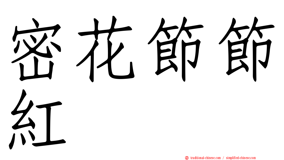 密花節節紅