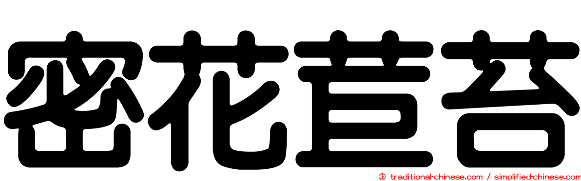 密花苣苔