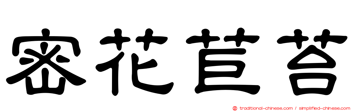 密花苣苔