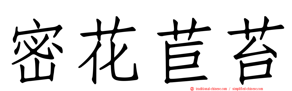 密花苣苔