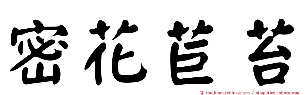 密花苣苔