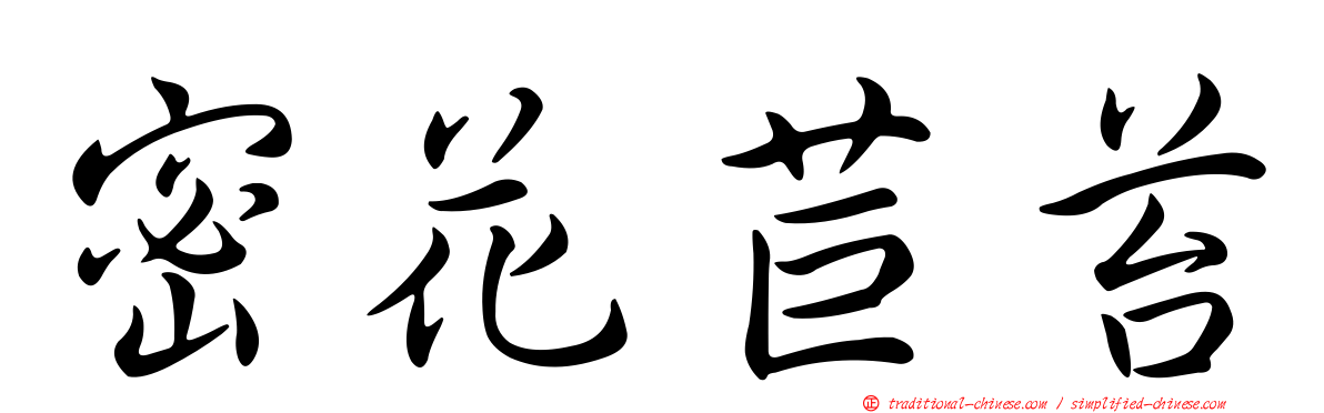 密花苣苔
