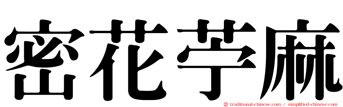 密花苧麻
