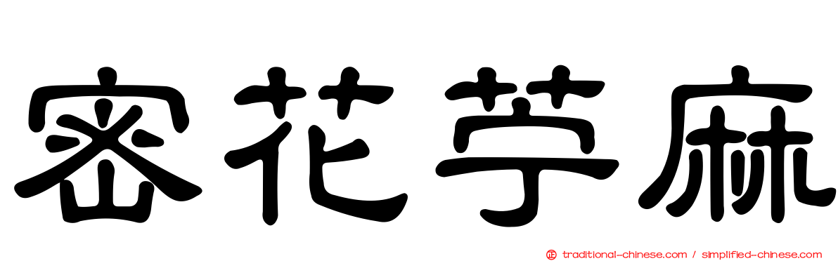 密花苧麻