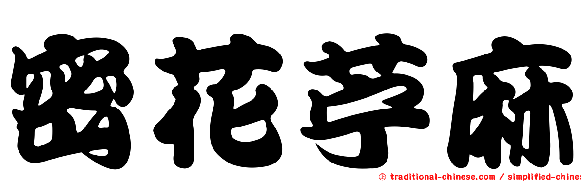 密花苧麻