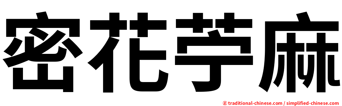密花苧麻