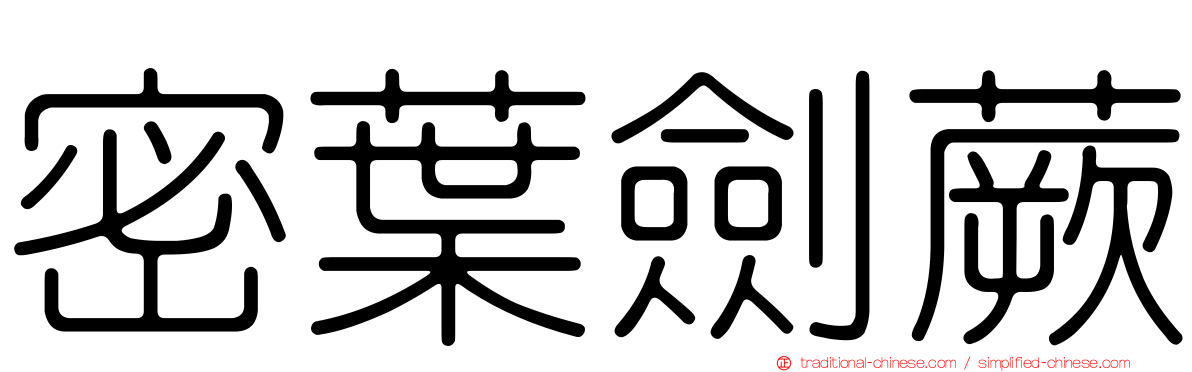 密葉劍蕨