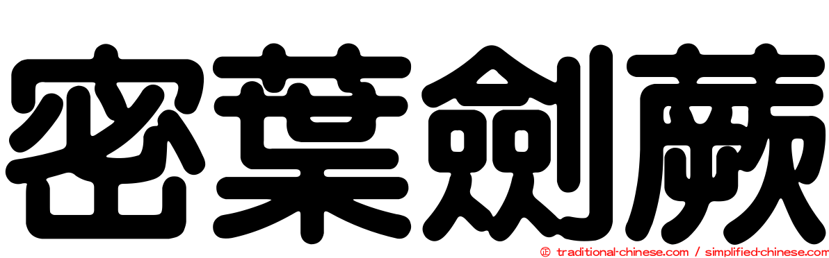 密葉劍蕨