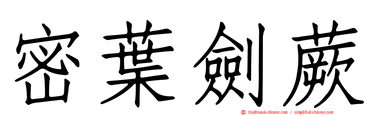 密葉劍蕨