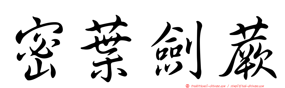 密葉劍蕨