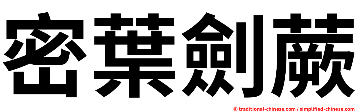 密葉劍蕨