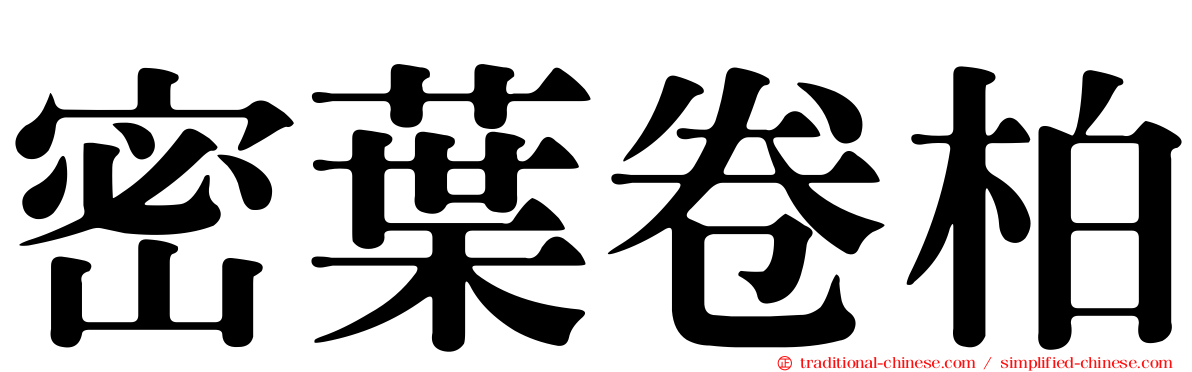 密葉卷柏