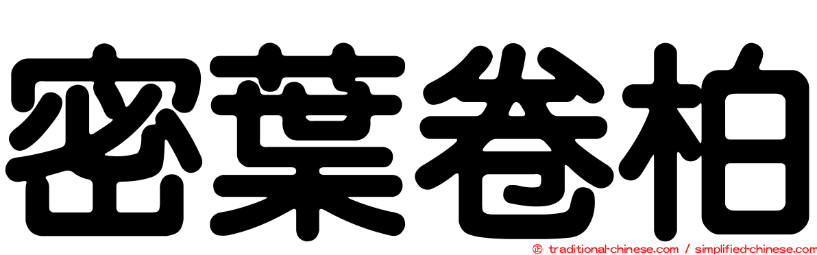 密葉卷柏