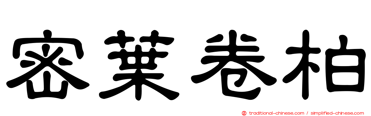 密葉卷柏