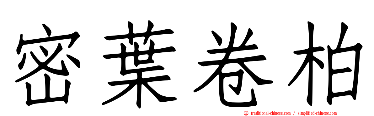 密葉卷柏