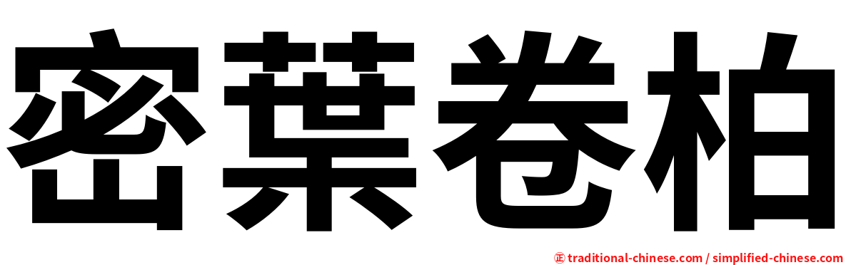 密葉卷柏