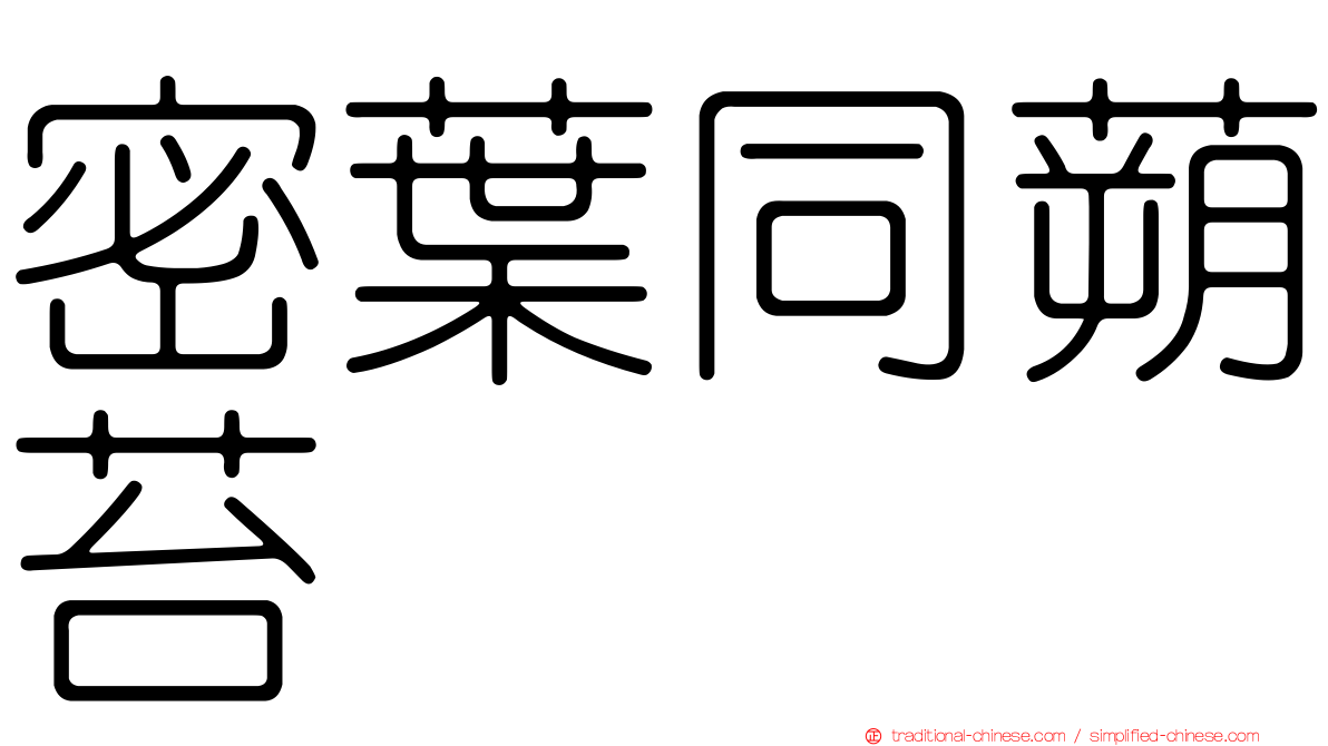 密葉同蒴苔