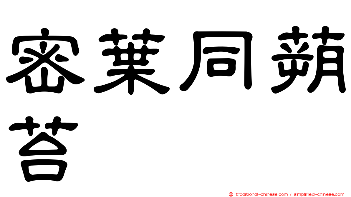 密葉同蒴苔