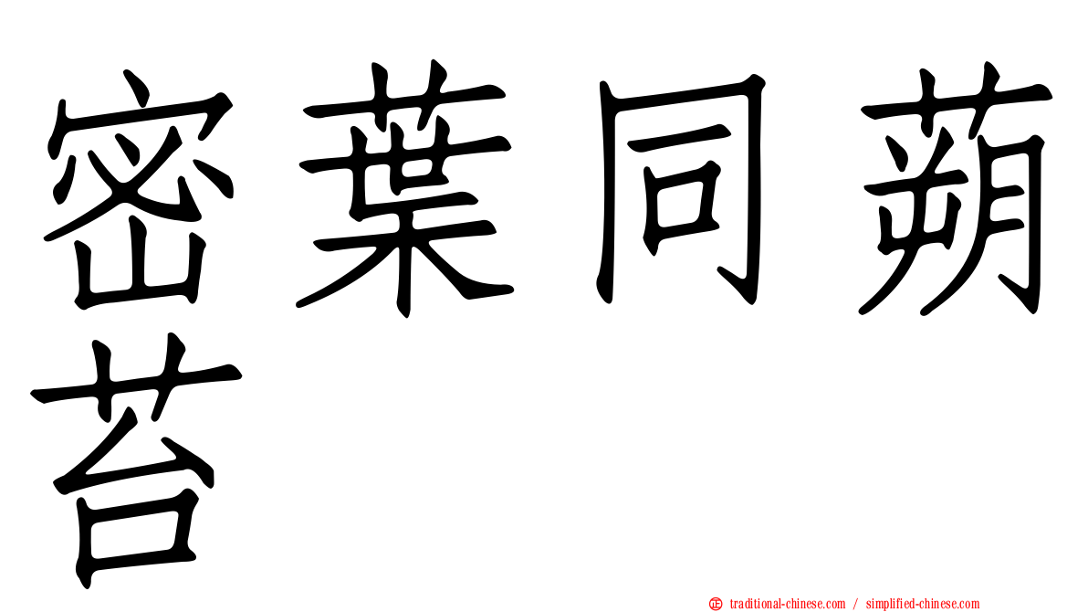 密葉同蒴苔