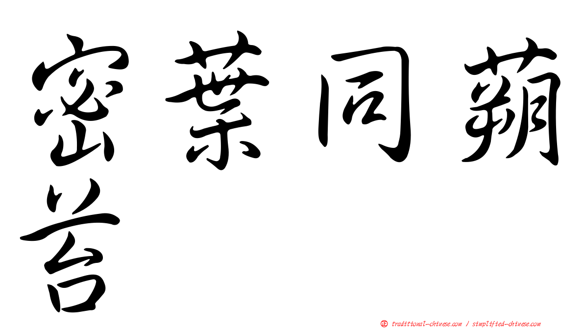 密葉同蒴苔
