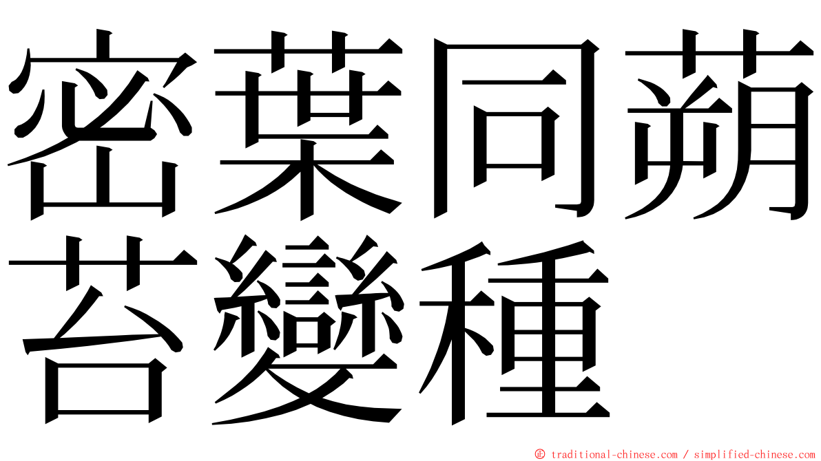 密葉同蒴苔變種 ming font