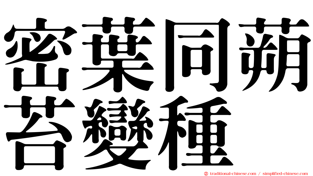 密葉同蒴苔變種