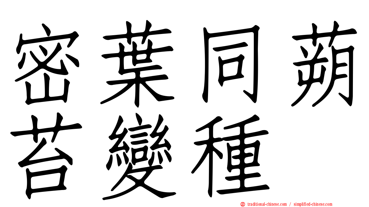 密葉同蒴苔變種