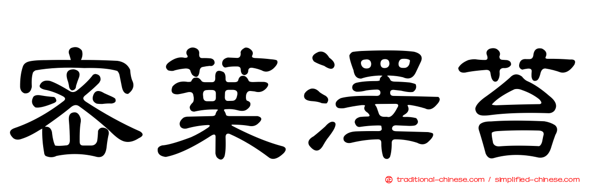 密葉澤苔