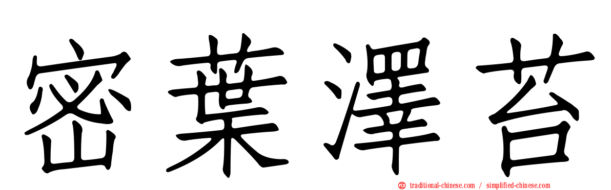 密葉澤苔