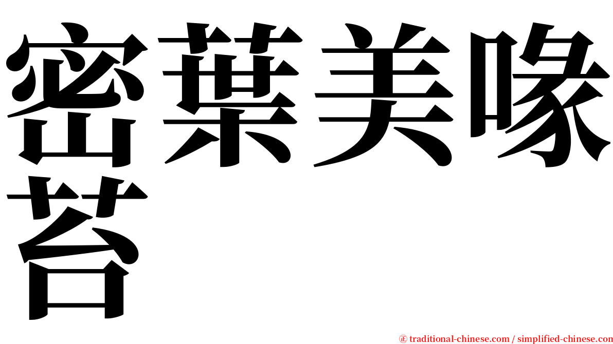 密葉美喙苔 serif font