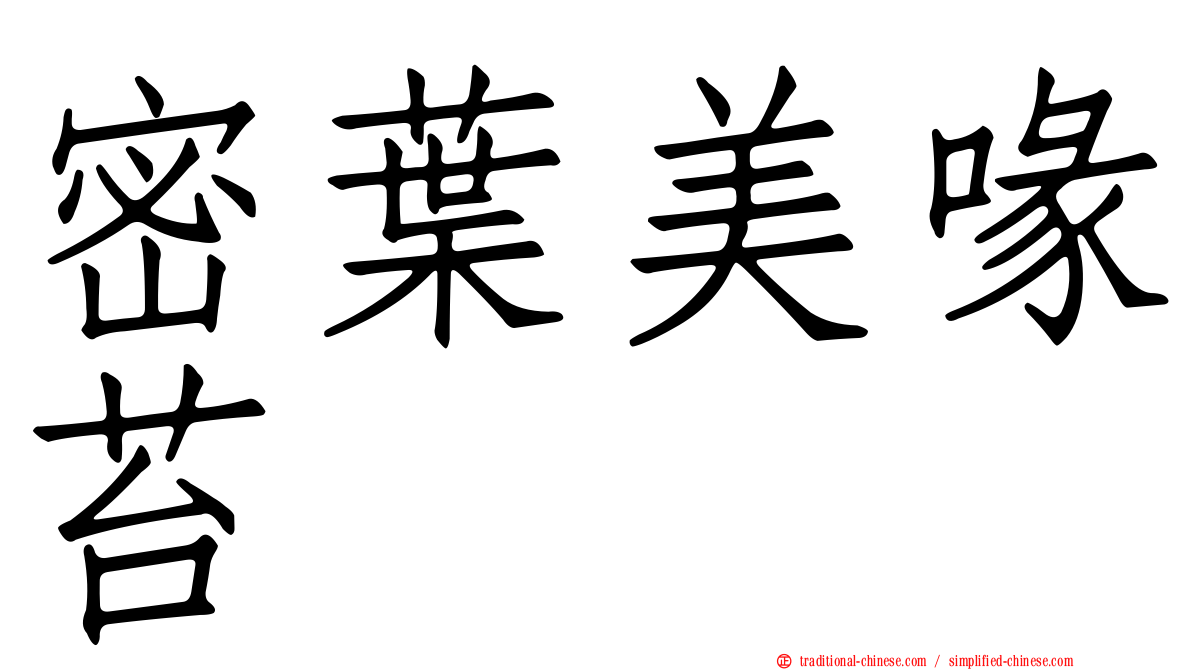密葉美喙苔