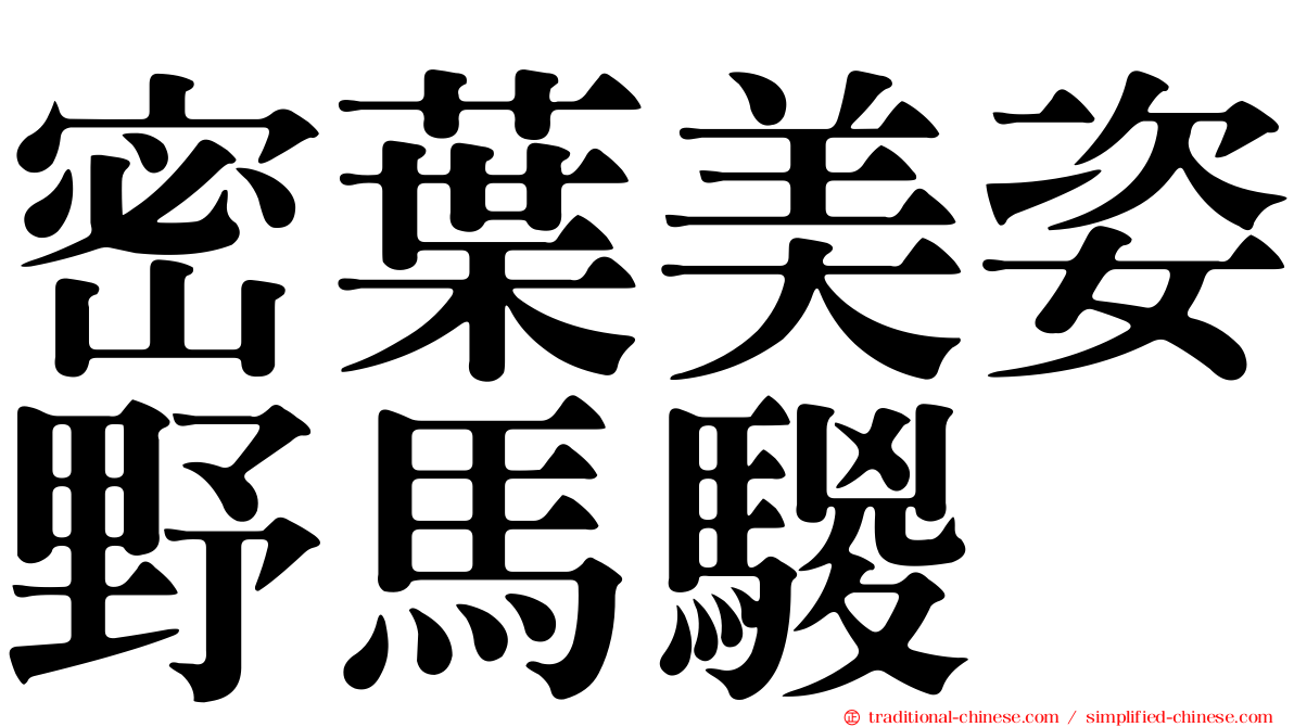 密葉美姿野馬騣