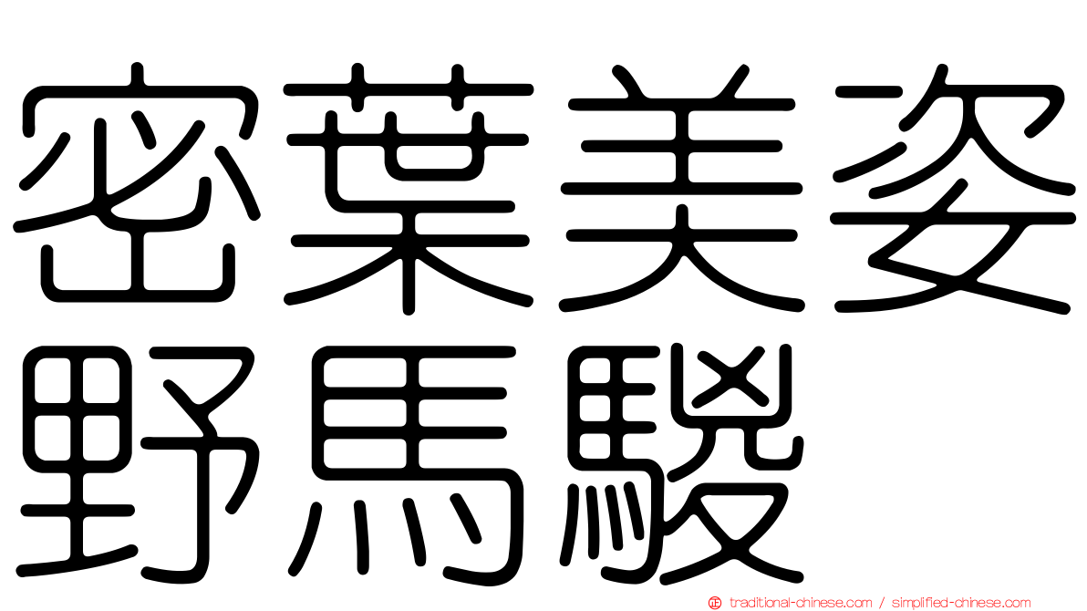 密葉美姿野馬騣