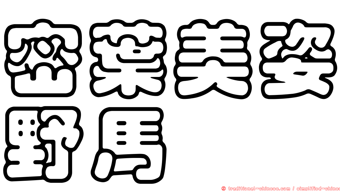 密葉美姿野馬騣