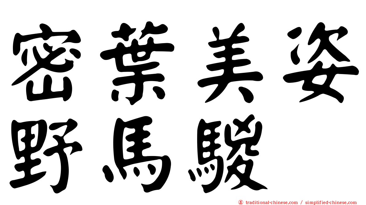 密葉美姿野馬騣