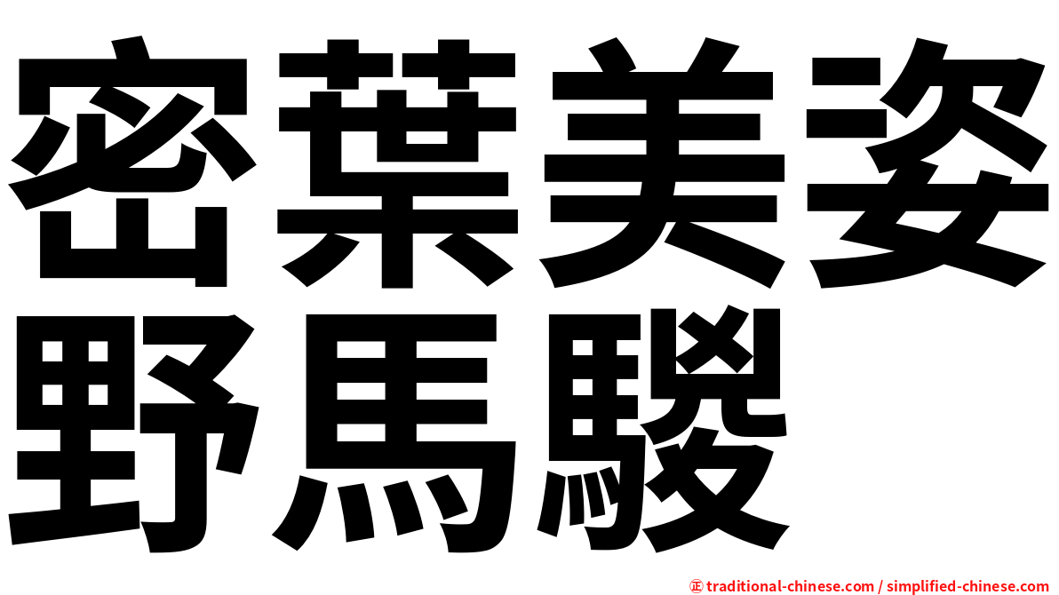 密葉美姿野馬騣