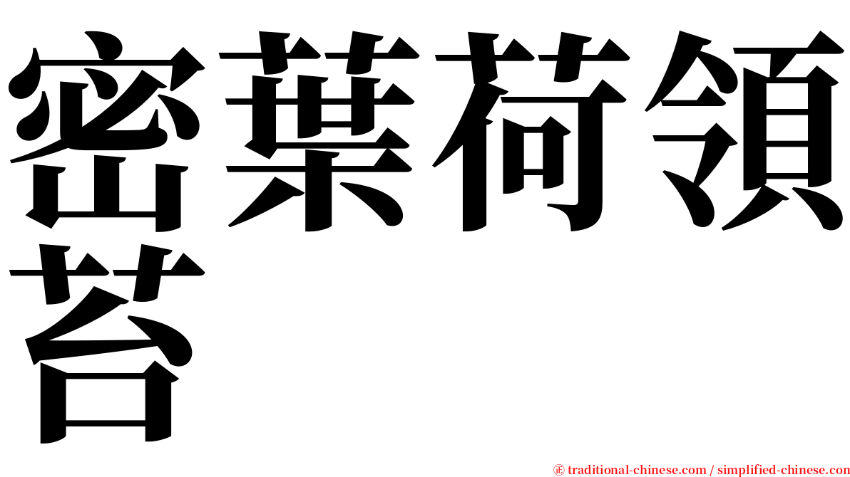 密葉荷領苔 serif font