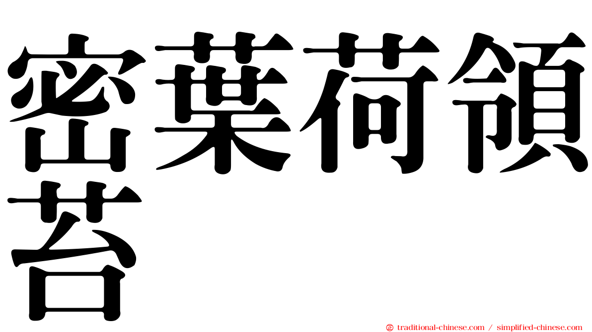 密葉荷領苔