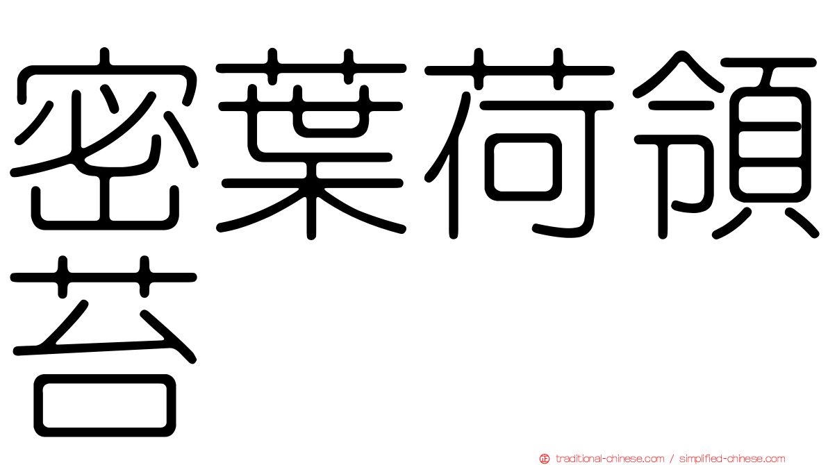 密葉荷領苔