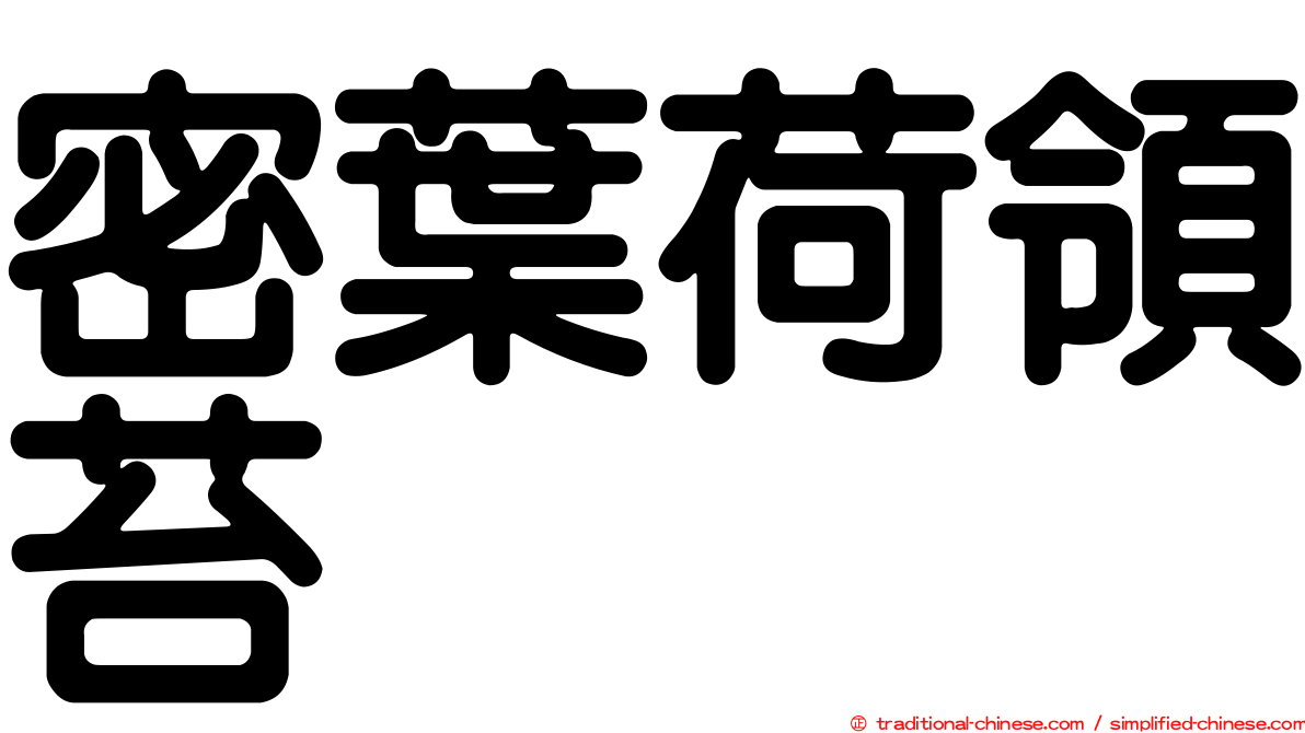 密葉荷領苔