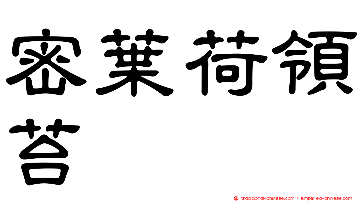 密葉荷領苔