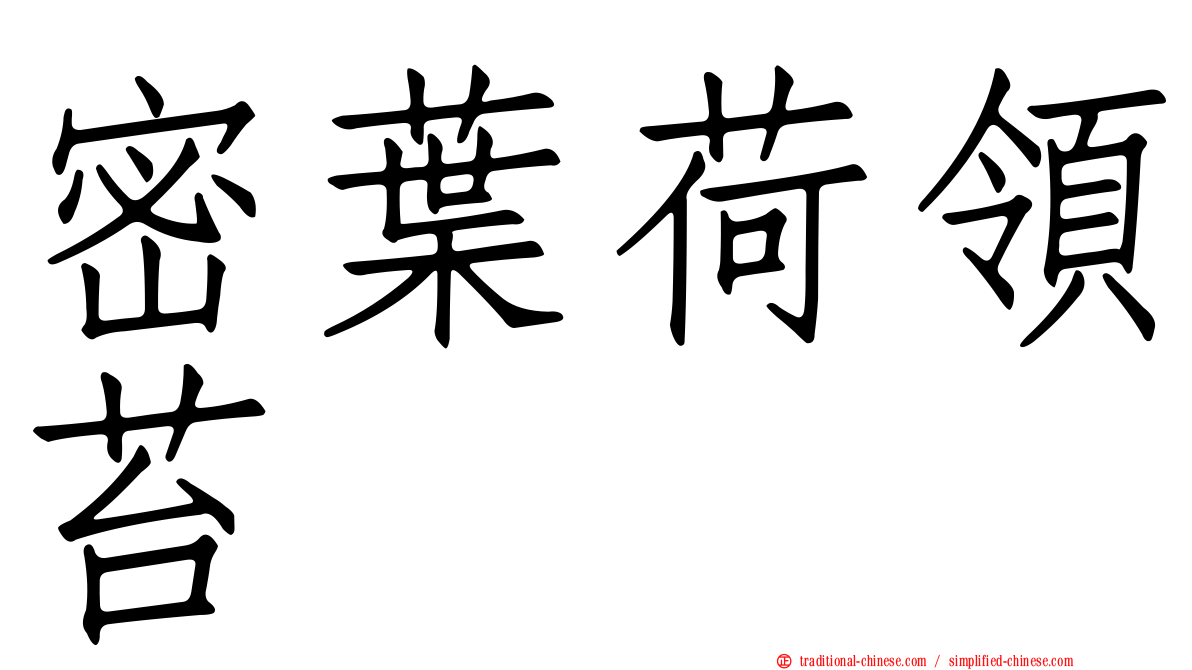 密葉荷領苔