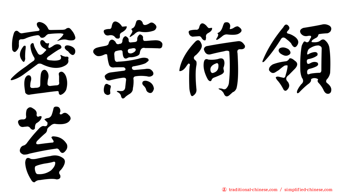 密葉荷領苔